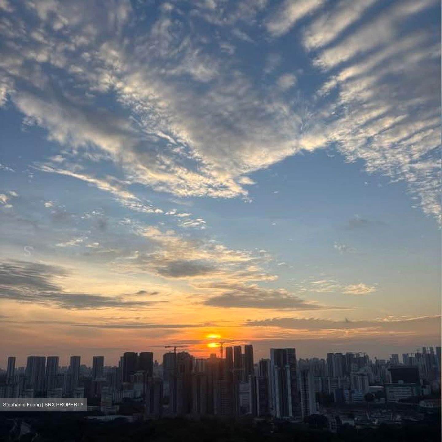 Normanton Park (D5), Apartment #599743901